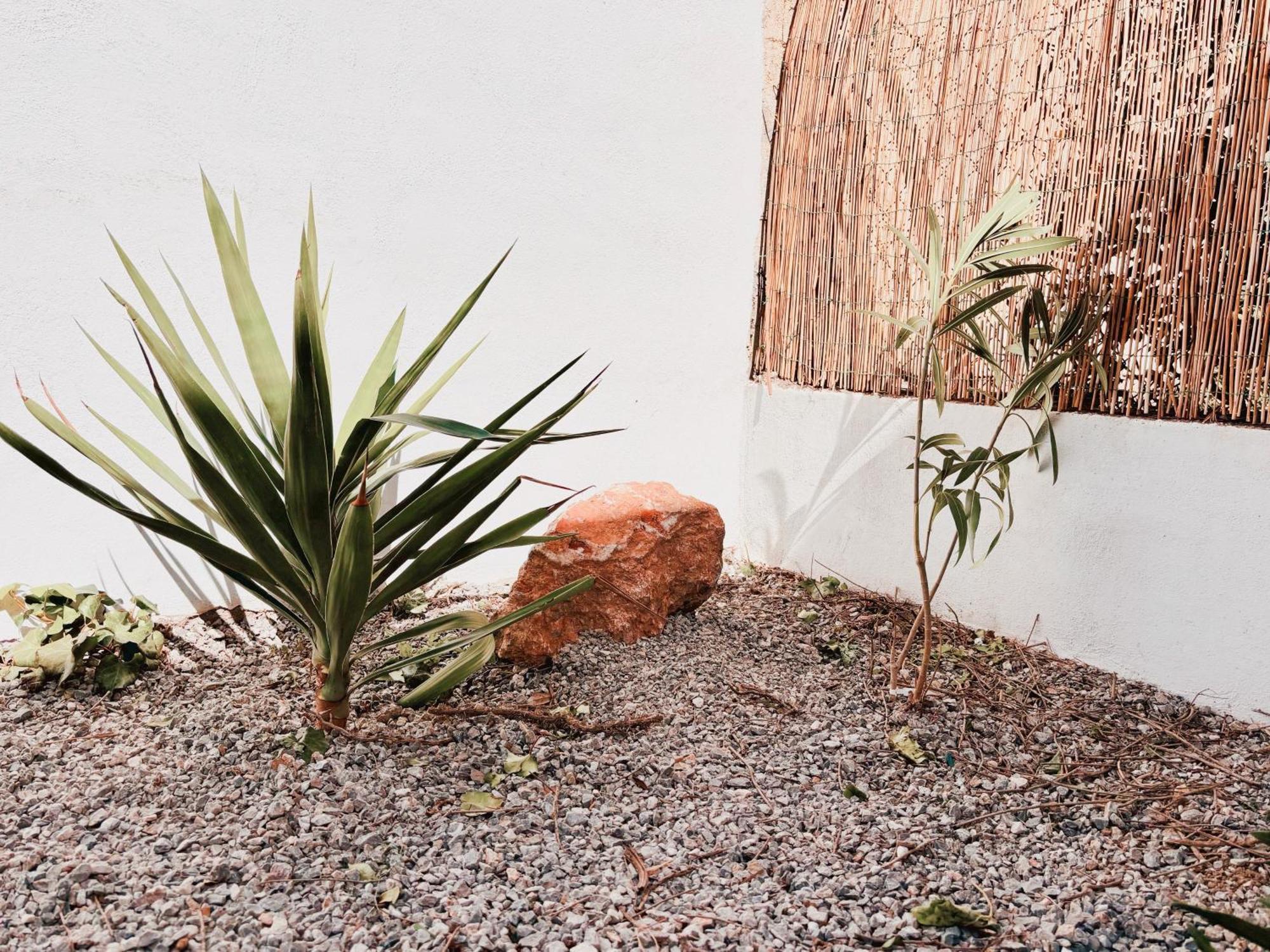 Appartement Avec Jardin Privatif A 300M De La Plage *2* Canet Exterior foto